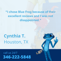 bluefrog Plumbing + Drain of Northwest Houston Logo