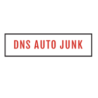 DNS Auto Junk Logo