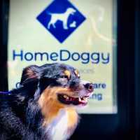 Homedoggy Logo