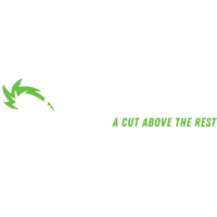 Tree Cutters of Florida Logo