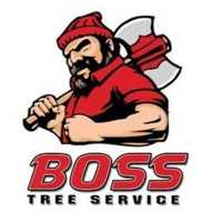 Boss Tree Service Logo