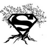 Sisk Tree Service Logo