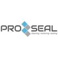 Pro Seal LLC Logo