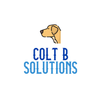 Colt B Solutions Logo