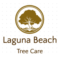 Laguna Beach Tree Care Logo
