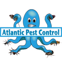 Atlantic Pest Control Inc Logo