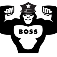 Boss Security Screens (Las Vegas) Logo