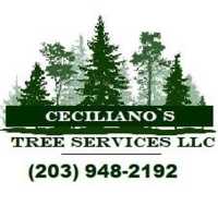 Ceciliano`S Tree Services LLC Logo