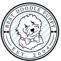 Best Doodle Puppy Logo