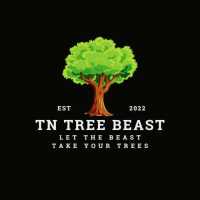TNTreeBeasts Logo
