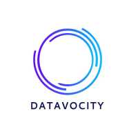 Datavocity Logo