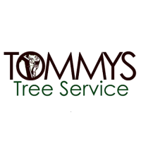 Tommy's Tree Service Logo