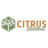 Citrus Sandblast Logo