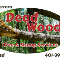Deadwood Tree and Stump Service LLC Logo
