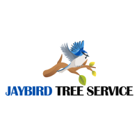 JayBird Tree Service Logo