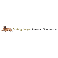 Steinig Bergen German Shepherds Logo