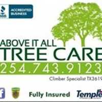 Above It All Tree Care Logo