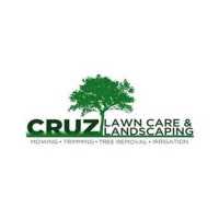 Cruz Tree Solutions and More Logo