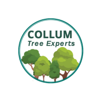 Collum Tree Experts Logo
