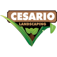 Cesario Lawn Care and Landscaping, LLC Logo