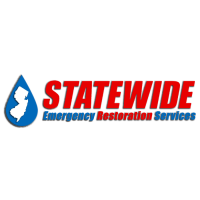Statewide Emergency Restoration Services Logo
