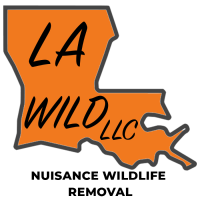 LA Wild LLC Logo
