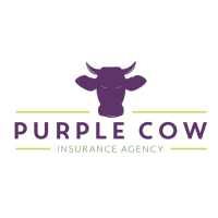 Purple Cow Insurance Agency Logo