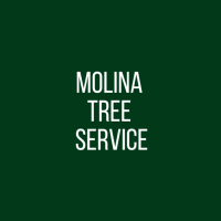 Molina Tree Service Logo