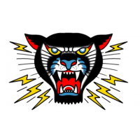 Panther City Electric Logo