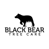 Black Bear Tree Care Logo
