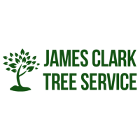 Clark Tree Service Logo