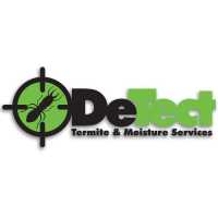 Detect Termite Logo
