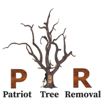 Patriot Tree Removal LLC Logo
