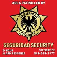 Seguridad Security Logo