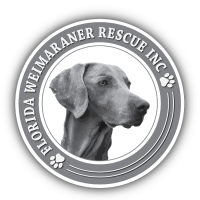 Florida Weimaraner Rescue Logo