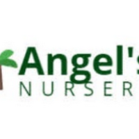 Angel's Nursery Logo
