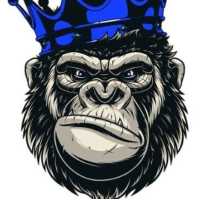Blue Gorilla Detailing Logo