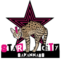 Star City Savannahs Logo