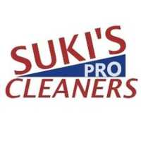 Pro Cleaners Logo