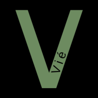 Vie Incorporated Logo