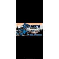 Bandits ATV and Boat Rentals Logo