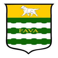 FAVA Renovations Logo