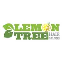 Lemon Tree Hair Salon Dallas Central Forest Logo