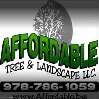 Affordable Tree & Landscape Logo