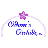 Odom's Orchids Inc Logo