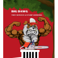 Big Dawg Tree Service & Stump Grinding Logo