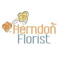 Herndon Florist Logo