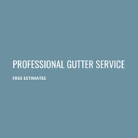 Professional Gutter Service Logo
