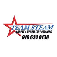 Team Steam Carpet Cleaning Logo