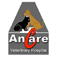 Ancare Veterinary Clinic Logo